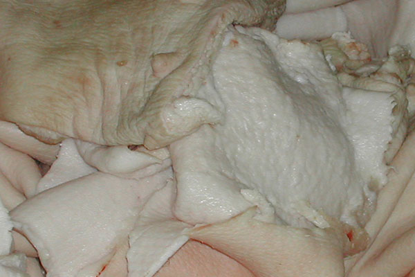 Cotenna di pancia suina